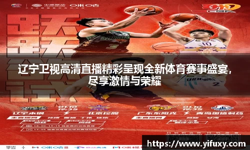 辽宁卫视高清直播精彩呈现全新体育赛事盛宴，尽享激情与荣耀