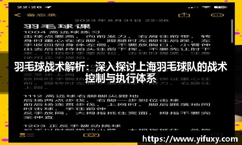 羽毛球战术解析：深入探讨上海羽毛球队的战术控制与执行体系