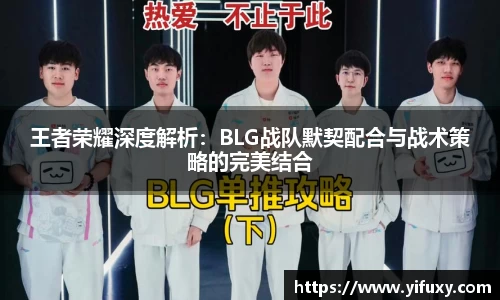 王者荣耀深度解析：BLG战队默契配合与战术策略的完美结合