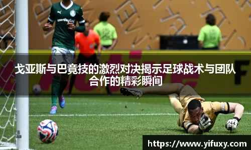 易游体育